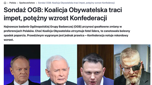 Badania Polityczne 3 1
